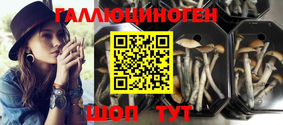 Геленджик  Псилоцибиновые грибы ЛСД  Вход с VPN  Псилоцибиновые грибы MAGIC MUSHROOMS 