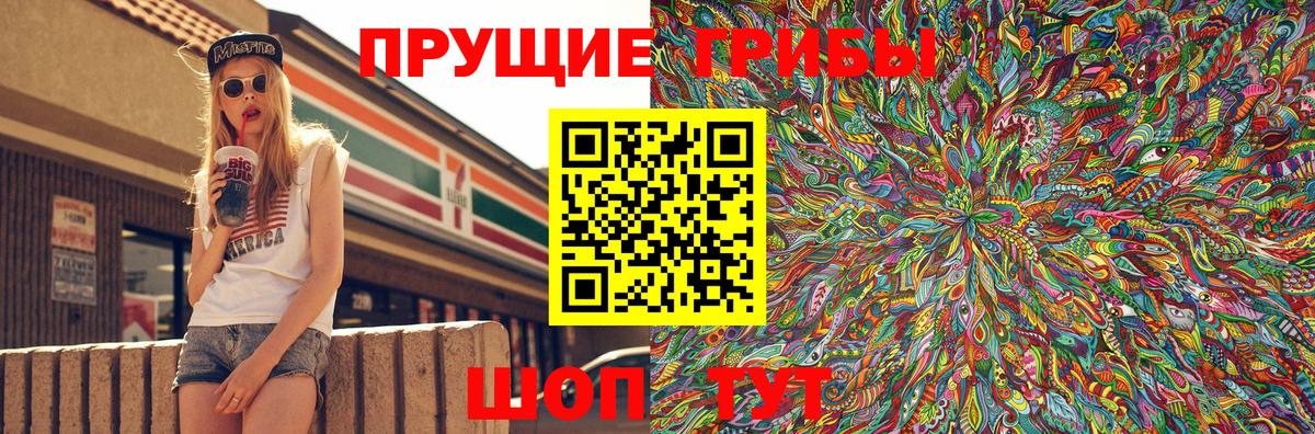 Галлюциногенные грибы прущие грибы Геленджик